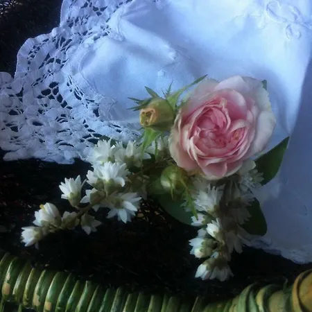 Les Du Perché Couette-café Le Havre