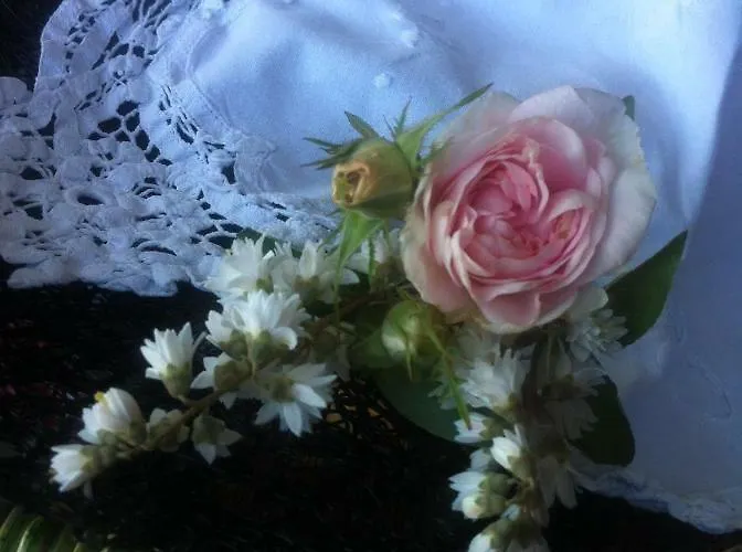 Les Du Perche Oda ve Kahvaltı Le Havre